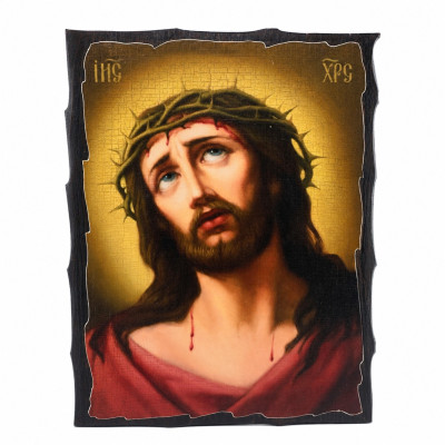 Icon of Jesus Christ in a crown of thorns on antique wood 21x29 cm