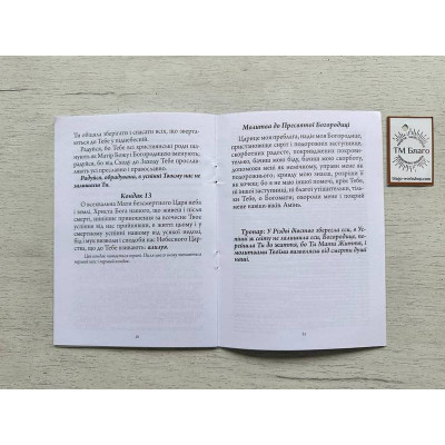 Акафіст Успінню Пресвятої Богородиці (українською мовою) 20х14,5х0,2 см