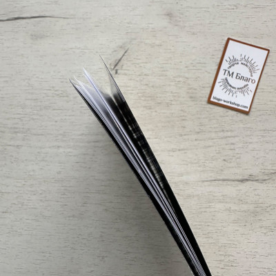 Шестипсалміє, 21,5х15,5х0,3см