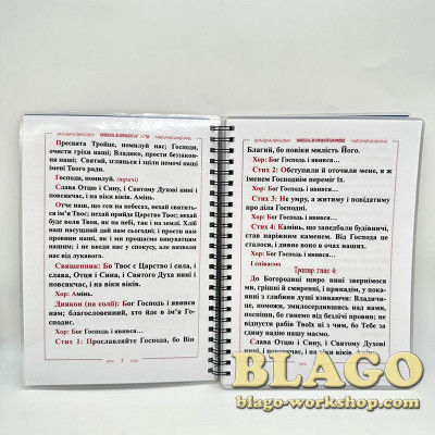 Молебень до пресвятої Богородиці, на українській мові, 21х15 см
