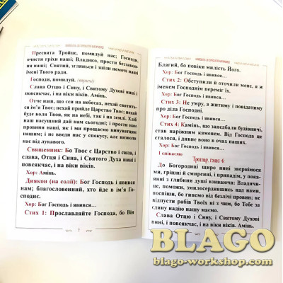 Молебень до пресвятої Богородиці, м'яка обкладинка, 20х14 см