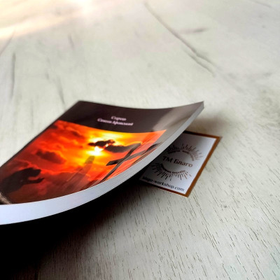 Книга написана скорботою, або сходження до неба Старець Симеон Афонський, 14,5х20,5 см