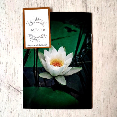 Найглибший сенс життя Преподобний Паїсій Святогорець, 10х14 см