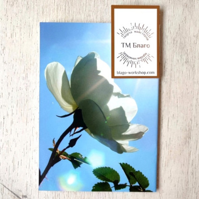 Шлях до щастя Святитель Нектарій Егинський, 10,5х14 см