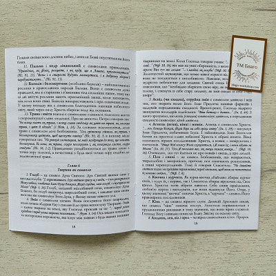 Символи і сигнали Святитель Миколай Сербський, 20х14,5х0,5 см